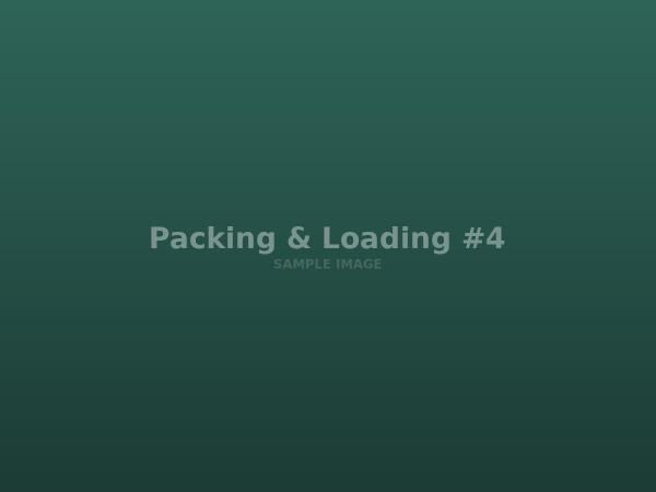 Packing & Loading photo 4